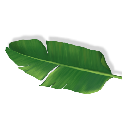 Right Leaf 2